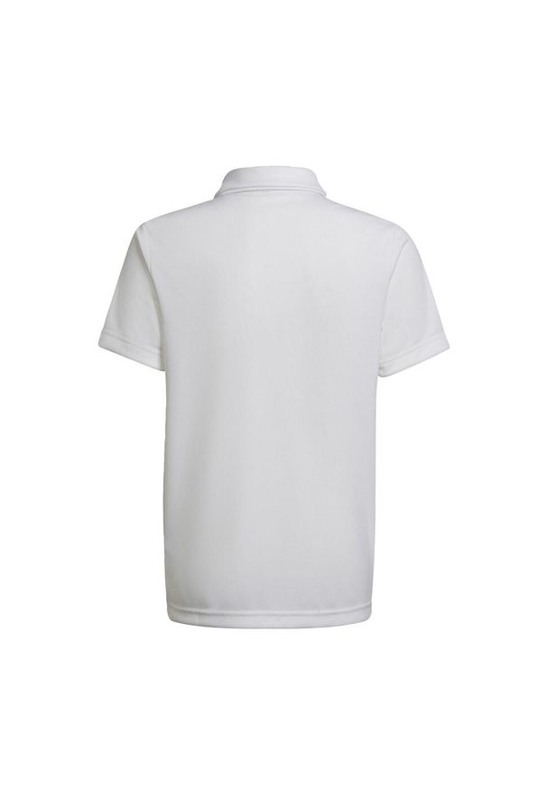Adidas - Koszulka polo piłkarska dla dzieci adidas Entrada 22 Polo. Typ kołnierza: polo. Kolor: biały. Sport: piłka nożna