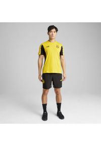 Puma - Męskie szorty Borussia Dortmund ftblARCHIVE PUMA Black Faster Yellow. Kolor: czarny, żółty, wielokolorowy. Wzór: aplikacja