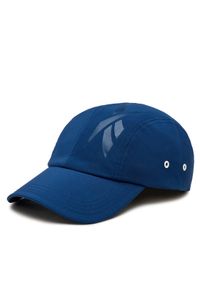 Reebok Czapka z daszkiem Tech Style Dad Cap HE2440 Niebieski. Kolor: niebieski