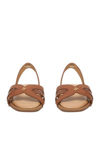 Beverly Hills Polo Club Sandały EO-R26SS09145-01 Brązowy. Kolor: brązowy. Materiał: skóra #5