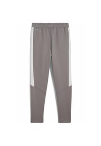 Puma - Młodzieżowe spodnie Evostripe PUMA Cast Iron Gray. Kolor: szary