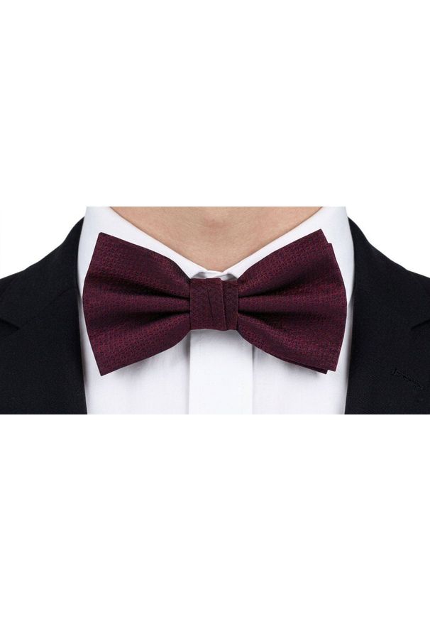 Mucha Męska z Poszetką - Chattier - Bordowa z Mikrostrukturą Tkaniny. Kolor: czerwony. Materiał: tkanina. Styl: sportowy, elegancki