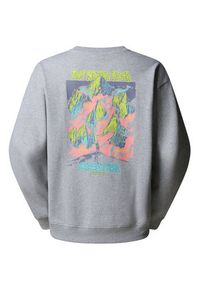 The North Face Bluza Expedition Celebration NF0A8E3G Szary Relaxed Fit. Kolor: szary. Materiał: bawełna #5