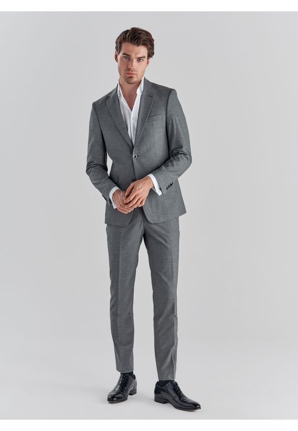 Pako Lorente - PAKO LORENTE – Szare spodnie garniturowe P22SF-6G-007-S-S. Okazja: na wesele, na ślub cywilny. Kolor: szary. Materiał: poliester, wiskoza, elastan. Wzór: gładki. Styl: elegancki