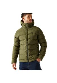 Regatta - Męska Wodoodporna Kurtka Termiczna Altoro. Kolor: zielony. Materiał: puch. Sport: turystyka piesza #2