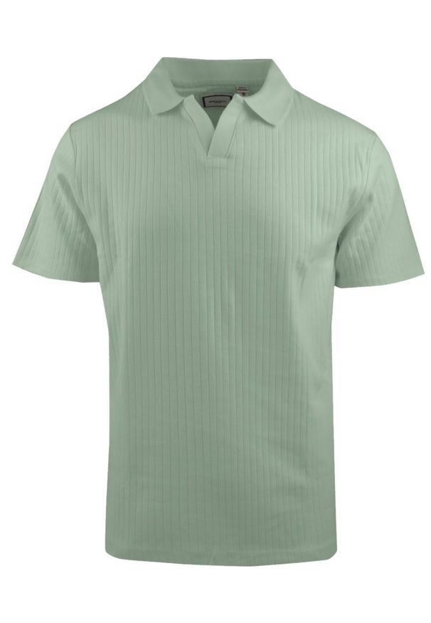 Dzianinowa Koszulka Polo - Dekolt Bez Guzików - Brave Soul - Bladozielona. Okazja: na co dzień. Typ kołnierza: polo. Kolor: zielony. Materiał: elastan, bawełna. Styl: casual