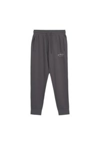 PITBULL - Spodnie męskie Pitbull Sampson Track Pants. Kolor: szary #1