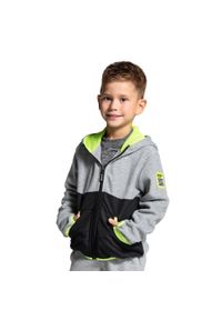 Polar turystyczny dla dzieci bluza rozpinana Lemon Explore ZL4. Typ kołnierza: kaptur. Kolor: szary. Materiał: poliester. Sezon: zima. Sport: turystyka piesza