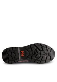 Helly Hansen Trekkingi 11751 Brązowy. Kolor: brązowy. Materiał: materiał. Sport: turystyka piesza #3