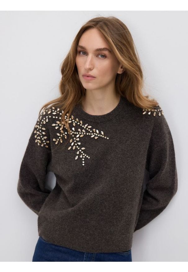 Reserved - Sweter z ozdobnymi aplikacjami - ciemnobrązowy. Kolor: brązowy. Materiał: dzianina, wełna. Wzór: aplikacja