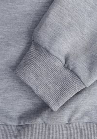 Renee - Szara Casualowa Bluza z Bawełną Akko. Okazja: na co dzień. Kolor: szary. Materiał: bawełna. Styl: casual #6