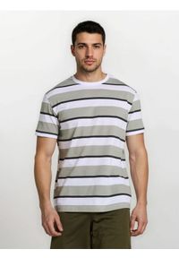 Sinsay - Bawełniana koszulka w paski - zielony. Kolor: zielony. Materiał: bawełna. Wzór: paski