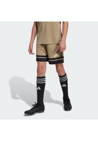 Adidas - Szorty Squadra 25 Kids. Kolor: wielokolorowy, zielony, czarny, brązowy, czerwony. Sport: piłka nożna #2