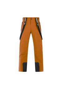 Spodnie narciarskie Protest Chester. Kolor: żółty. Sezon: zima. Sport: narciarstwo #1