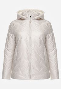 Born2be - Jasnoszara Pikowana Kurtka Przejściowa o Prostym Kroju z Kapturem Vimoris. Okazja: na spacer, na co dzień. Typ kołnierza: kaptur. Kolekcja: plus size. Kolor: szary. Materiał: poliester, jeans. Styl: casual, elegancki #1