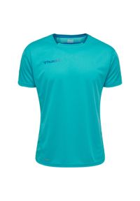 Jersey Hummel enfant hmlAUTHENTIC Poly HML. Kolor: fioletowy, zielony, wielokolorowy. Materiał: jersey. Sport: piłka nożna