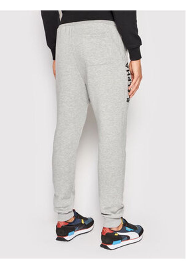 Alpha Industries Spodnie dresowe Basic 116368 Szary Regular Fit. Kolor: szary. Materiał: bawełna