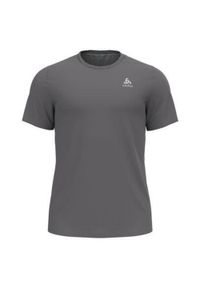 Koszulka z krótkim rękawem trekkingowa męska Odlo T-shirt F-DRY. Kolor: szary. Długość rękawa: krótki rękaw. Długość: krótkie. Sport: turystyka piesza