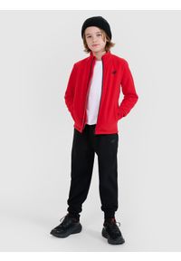 4f - 4F Polar regular ze stójką chłopięcy - czerwony 158 (12-13 lat). Typ kołnierza: kołnierzyk stójkowy. Kolor: czerwony. Materiał: polar. Wzór: gładki. Sezon: lato. Sport: narciarstwo, turystyka piesza, wspinaczka, snowboard #2