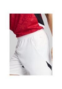 Puma - Męskie szorty Egipt 2025 PUMA White Black. Kolor: biały, wielokolorowy, czarny