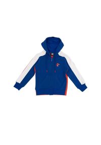 LEONE 1947 APPAREL - Nowa sportowa bluza dziecięca z kapturem i zamkiem. Typ kołnierza: kaptur. Kolor: niebieski. Sport: joga i pilates