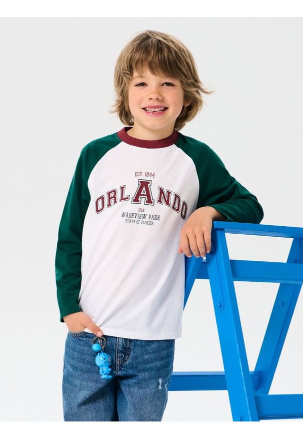 Sinsay - Koszulka z długimi rękawami - wielobarwny. Długość rękawa: długi rękaw. Długość: długie