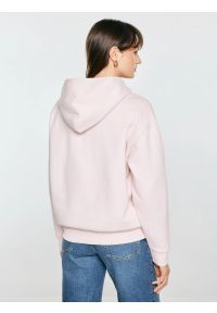 Big-Star - bluza damska z kapturem i haftowanym logo różowa afraja 600. Typ kołnierza: kaptur. Kolor: różowy. Materiał: dzianina. Wzór: haft #5