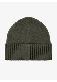 Czapka zimowa Patagonia Brodeo Beanie - skyline pine needle green. Kolor: zielony. Sezon: zima