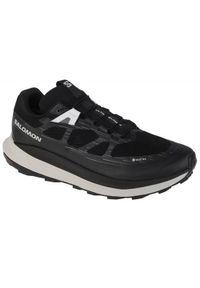 salomon - Buty do biegania męskie Salomon Ultra Glide 2 Gtx. Zapięcie: sznurówki. Kolor: wielokolorowy. Materiał: materiał, tkanina. Szerokość cholewki: normalna