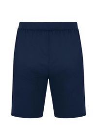 Spodenki treningowe Jako Allround. Kolor: niebieski. Długość: krótkie. Sezon: lato #2