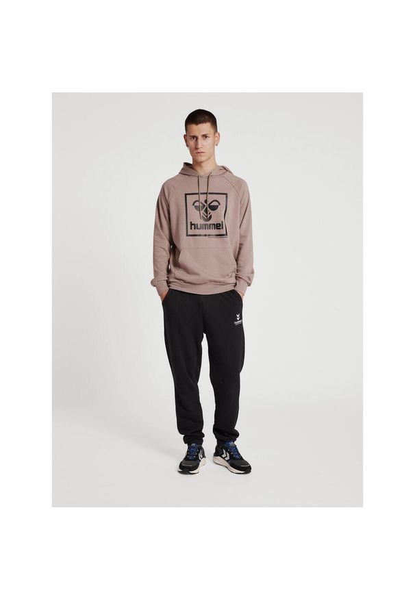 Bluza z kapturem Hummel Isam 2.0. Typ kołnierza: kaptur. Kolor: wielokolorowy, szary, zielony. Sport: piłka ręczna