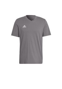 Adidas - Koszulka piłkarska męska adidas Entrada 22 Tee. Kolor: szary. Sport: piłka nożna