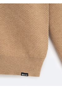 Big-Star - Sweter męski o teksturalnym splocie bawełniany brązowy Reylon 802. Kolor: brązowy. Materiał: bawełna. Wzór: ze splotem