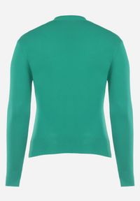 Born2be - Zielony Sweter z Golfem Erimessa. Typ kołnierza: golf. Kolor: zielony. Materiał: tkanina, dzianina, wiskoza. Długość rękawa: długi rękaw. Długość: długie. Styl: klasyczny