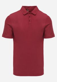 Born2be - Bordowa Gładka Koszulka Polo o Klasycznym Kroju Sinopea. Okazja: na co dzień, do pracy, na spotkanie biznesowe. Typ kołnierza: polo. Kolor: czerwony. Materiał: jeans. Wzór: gładki. Styl: klasyczny #2