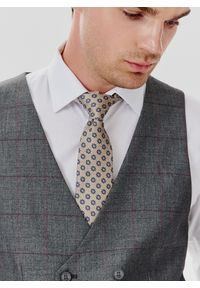 Pako Lorente - PAKO LORENTE – Szara dwurzędowa kamizelka męska w kratę. Okazja: na ślub cywilny, na wesele. Kolor: szary. Styl: elegancki, młodzieżowy #5