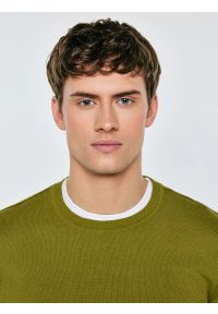 Big-Star - Sweter męski bawełniany zielony Simoner 301. Okazja: na co dzień. Kolor: zielony. Materiał: bawełna. Długość rękawa: długi rękaw. Długość: długie. Wzór: gładki, aplikacja, ze splotem. Styl: casual, klasyczny #3