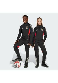Adidas - Spodnie Benfica Tiro 25 Competition Training Kids. Kolor: czarny