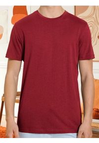 Sinsay - Bawełniana koszulka z krótkim rękawem - czerwony. Kolor: czerwony. Materiał: bawełna. Długość rękawa: krótki rękaw. Długość: krótkie #1