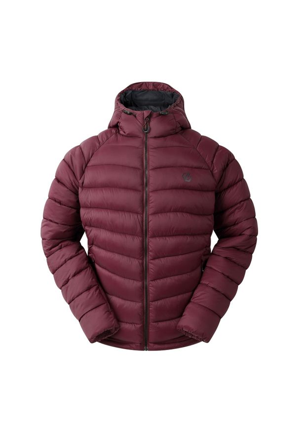 DARE 2B - Męska Kurtka Torrek Mountain Baffled Padded Jacket. Kolor: fioletowy. Materiał: puch. Sport: turystyka piesza