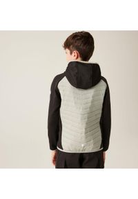 Regatta - Kielder Hybrid VIII Dziecięca wodoodporna kurtka z przegrodami. Kolor: wielokolorowy, brązowy, zielony. Materiał: polar, puch. Styl: sportowy, elegancki #2
