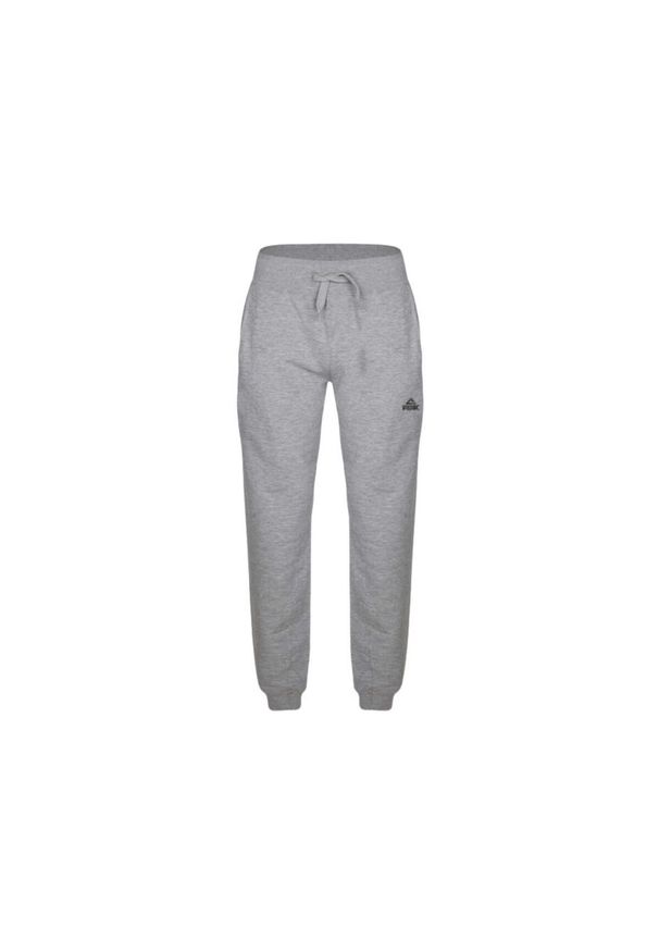 PEAK - Damskie spodnie dresowe Peak élite. Kolor: szary. Materiał: dresówka. Sport: koszykówka