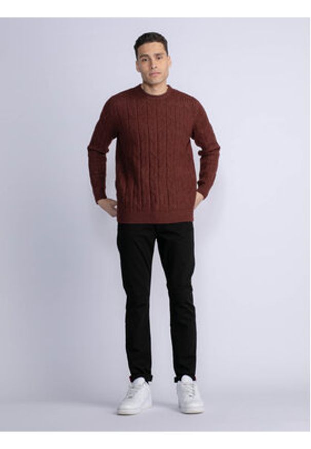 Petrol Industries Sweter M-3030-KWR250 Brązowy Regular Fit. Kolor: brązowy. Materiał: syntetyk