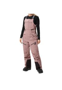 Spodnie narciarskie dla kobiet Colourwear W Transfer. Kolor: beżowy, wielokolorowy, brązowy. Sezon: zima. Sport: narciarstwo #1