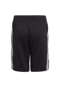 Adidas - Spodenki dziecięce adidas Aeroready Primegreen. Kolor: czarny, biały, wielokolorowy. Sport: bieganie