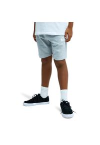 Quiksilver - Spodenki z elastyczną talią EASY DAY. Kolor: szary. Materiał: bawełna, poliester, materiał. Długość: krótkie. Sezon: lato #1