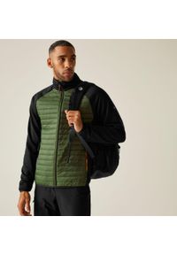 Regatta - Kurtka męska hybrydowa Clumber. Kolor: zielony, brązowy, wielokolorowy. Materiał: puch. Sport: turystyka piesza #1