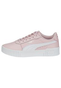 Buty dla dzieci Puma Carina 2.0 Jr. Kolor: szary, biały, różowy, wielokolorowy. Materiał: materiał, syntetyk. Sport: turystyka piesza #1