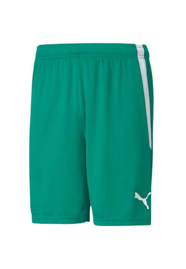 Puma - Męskie Spodenki TeamLIGA. Kolor: zielony. Sport: turystyka piesza
