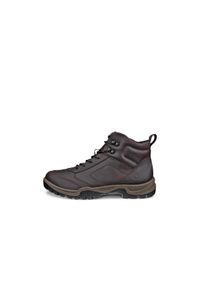 ecco - Buty trekkingowe Ecco Xpedition III. Kolor: brązowy. Sport: turystyka piesza #1